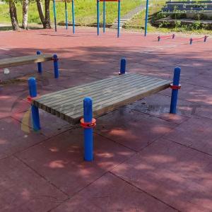 Купить Помост для выполнения испытания "Сгибание-разгибание рук в упоре лежа на полу" в Нижнем Новгороде 